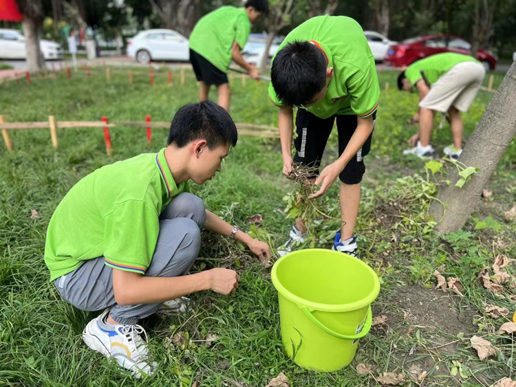 丰收季来袭！新华农场喜迎丰收季~