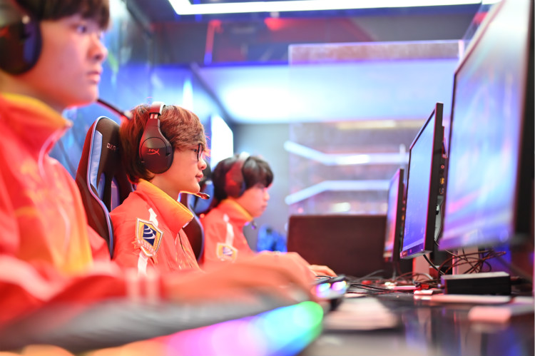 为什么大家都在学互联网?新手学电脑,该从何学起?