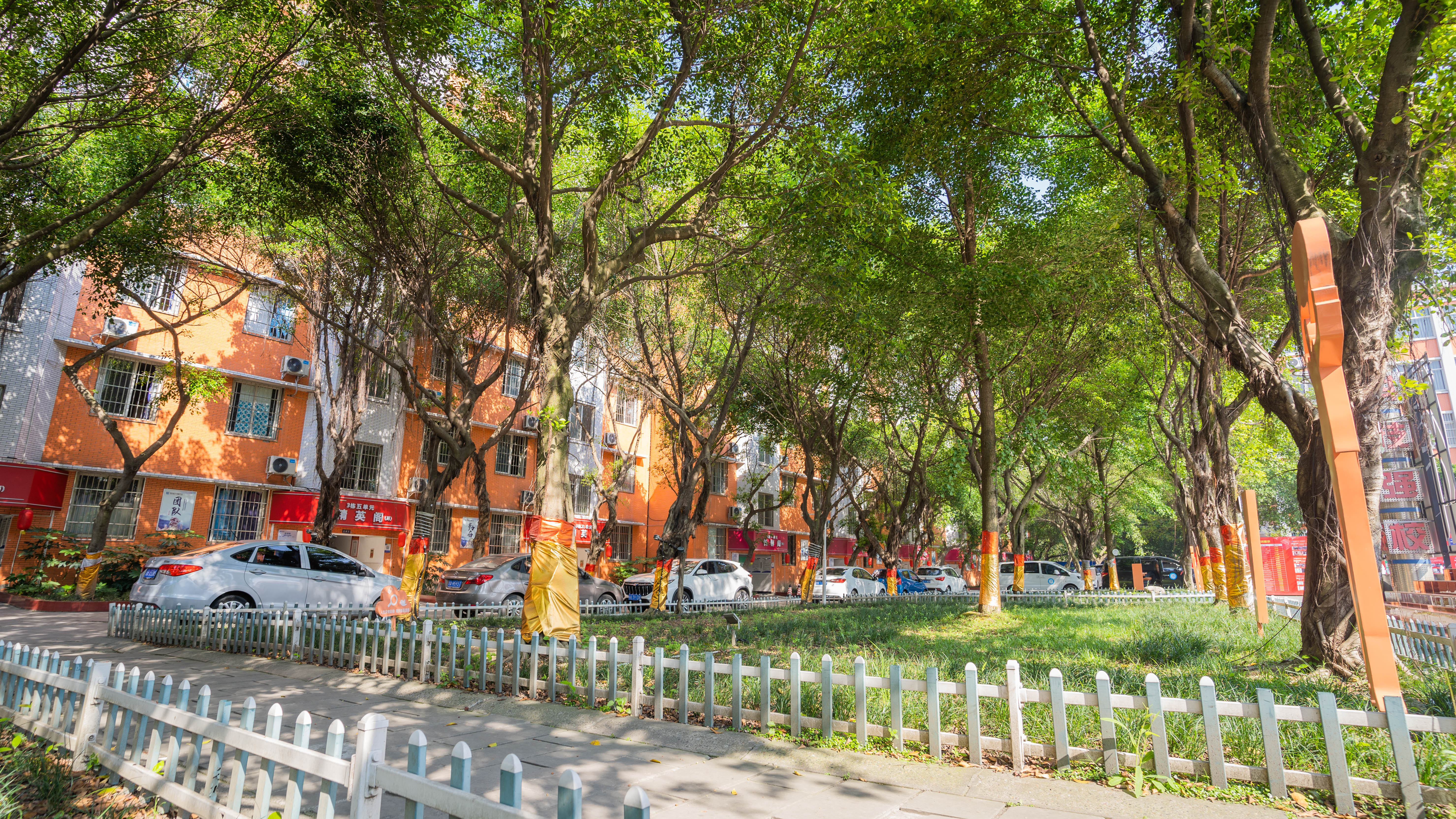 别再挤破头去普高了，职高的优势你想象不到！